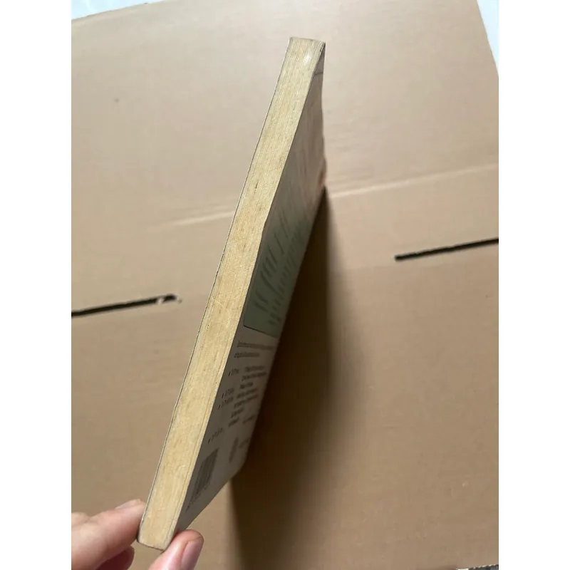 Tiếng Việt thực hành 607806