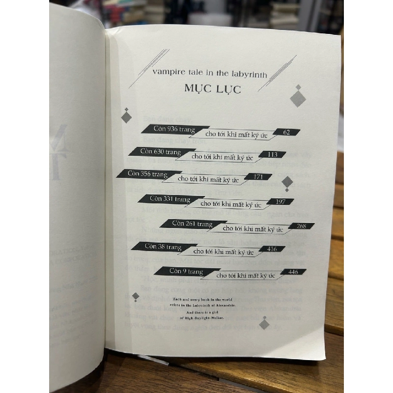 Mê cung thư viện -Sel Toaza 746607