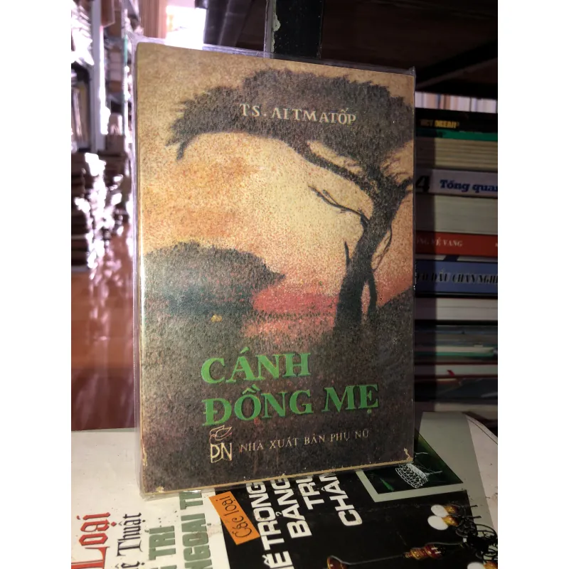 Cánh đồng mẹ - TS. Aitmatốp 789056