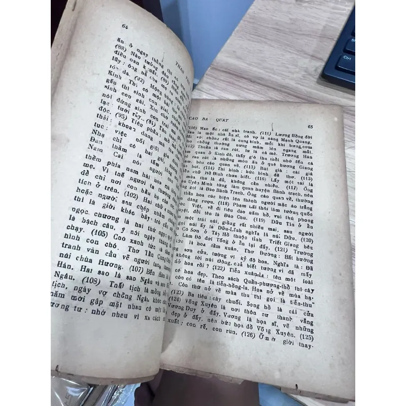 THÂN THẾ VÀ SỰ NGHIỆP CAO BÁ QUÁT 757848