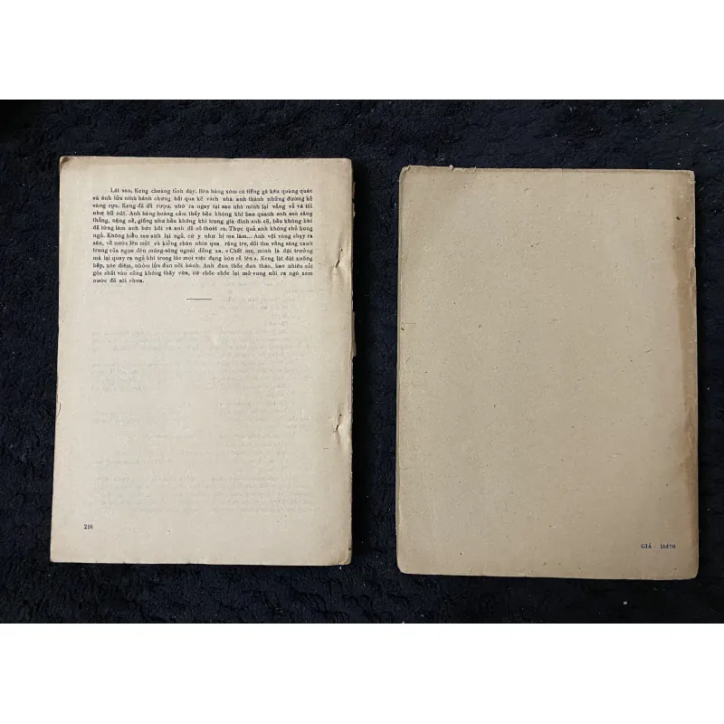 Tư liệu truyện kí Việt Nam 1955-1975  1005292