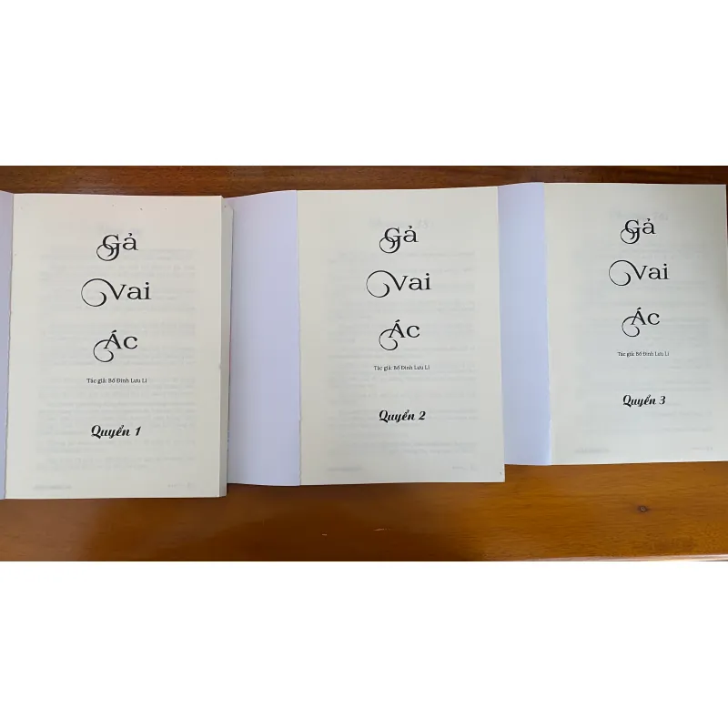 Tiểu thuyết “Gả vai ác” của Bố Đinh Lưu Ly, tình trạng bảo quản tốt 90% 800133