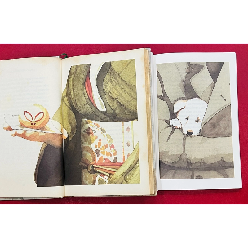 Hachiko - Chú Chó Đợi Chờ (bìa cứng và mềm) 352281