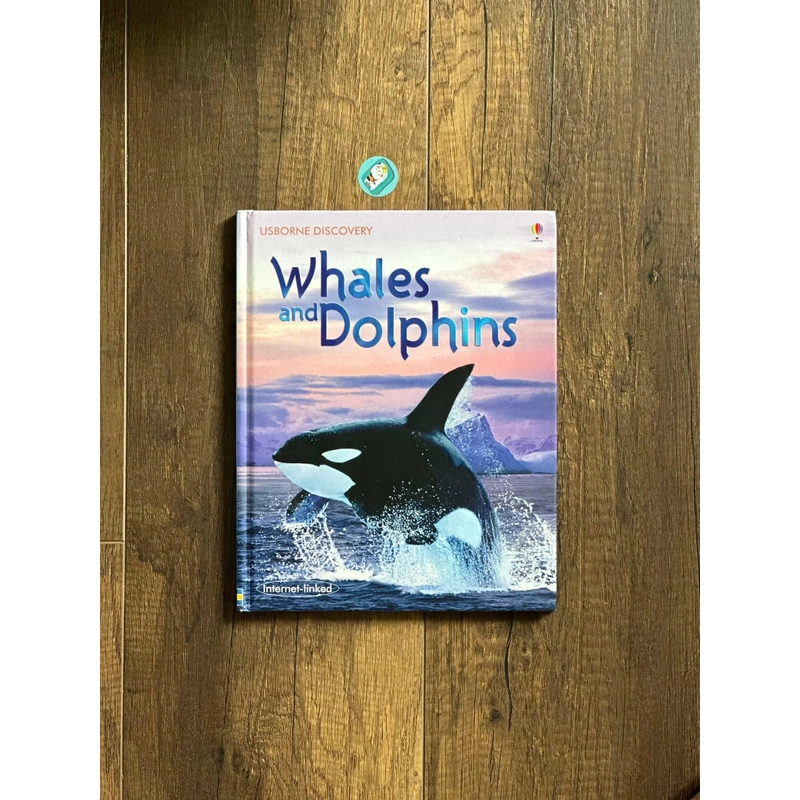 [Bìa cứng] Usborne Discovery: WHALES AND DOLPHINS 224295