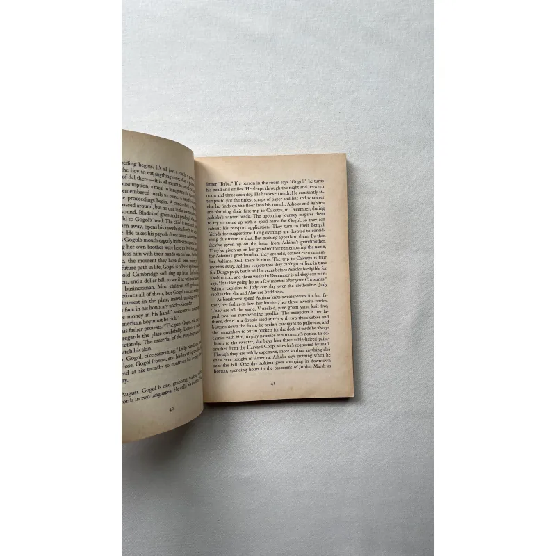 The Namesake - Jhumpa Lahiri 1027149