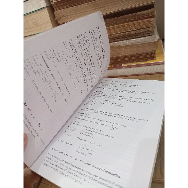 Débuter en algorithmique avec Matlab et Scilab - Jean-Pierre Grenier 778196