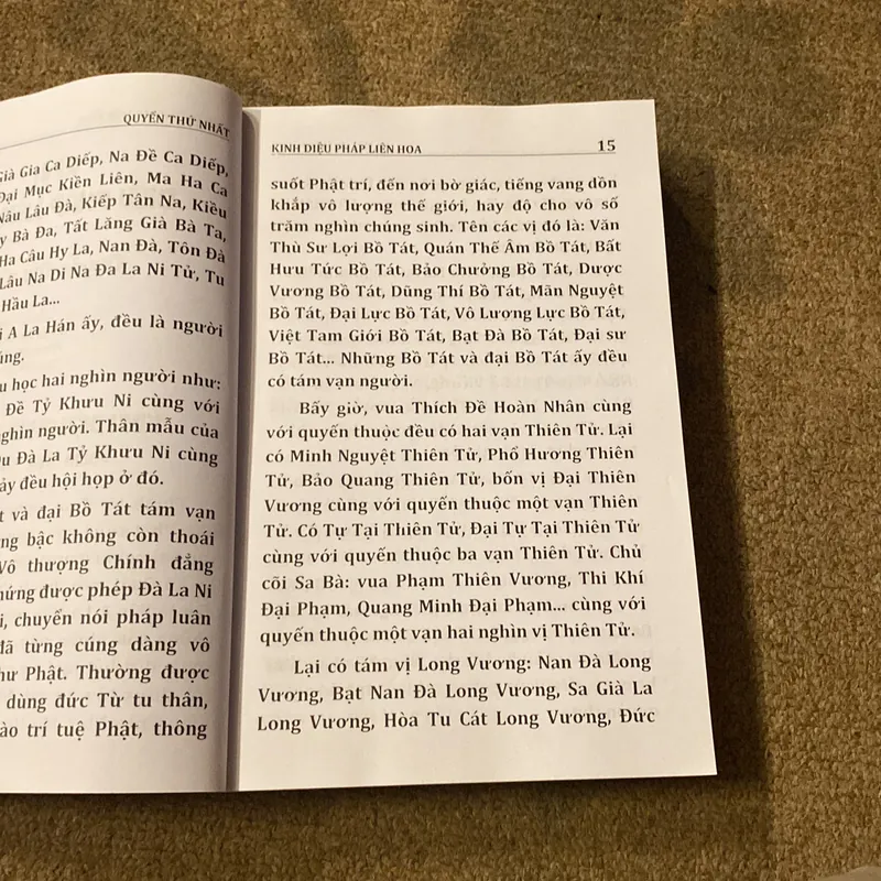 Kinh Diệu Pháp Liên Hoa- Dịch Giả: HT. Thích Tuệ Hải 689175