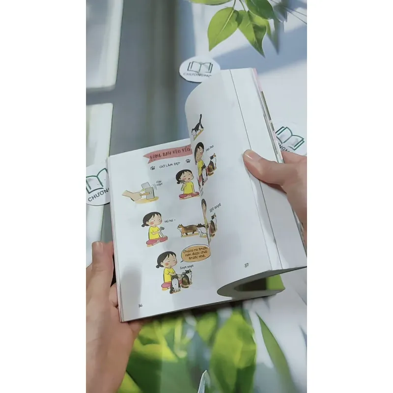 Nhà Có Một Đàn Mèo 2 - Chae Yuri 744718