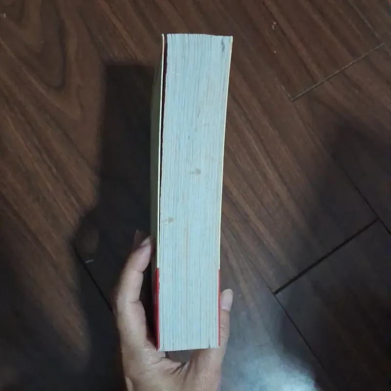 Quyết ý đi cùng anh - mộc phạn 706584