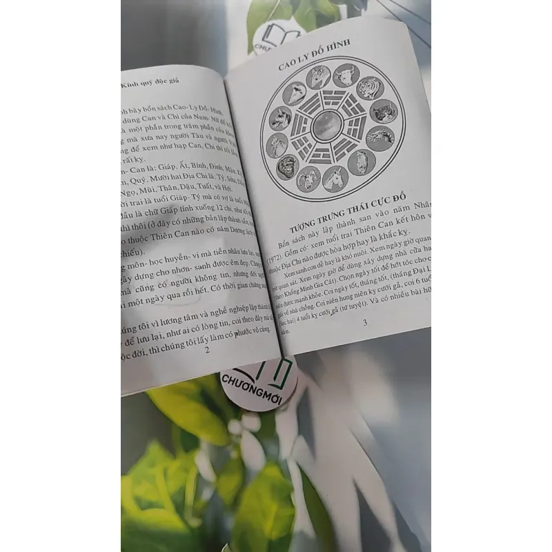 Cao Ly Đầu Hình 775958