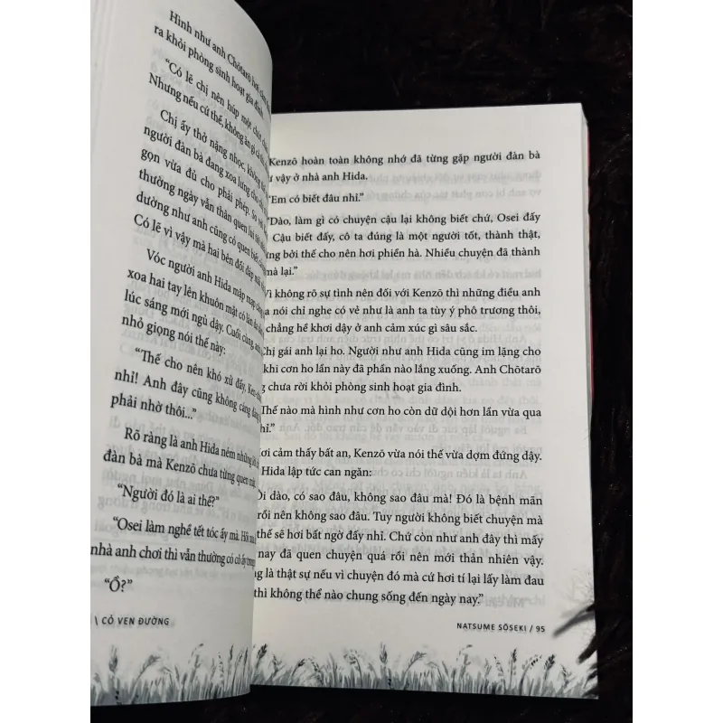 Combo 2c Natsume Soseki 1017667