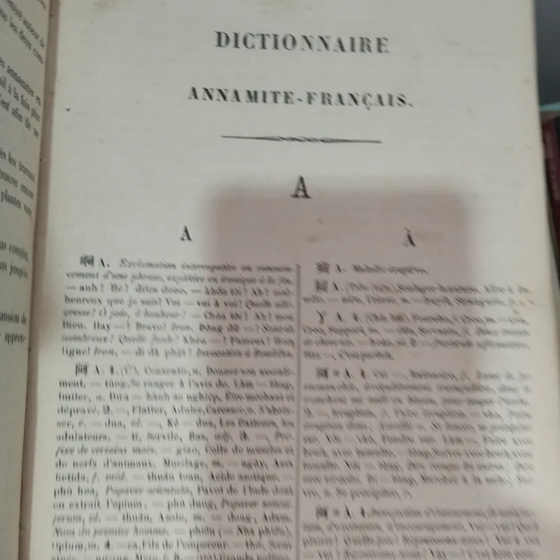 Từ điển Annamite Francaise  688799
