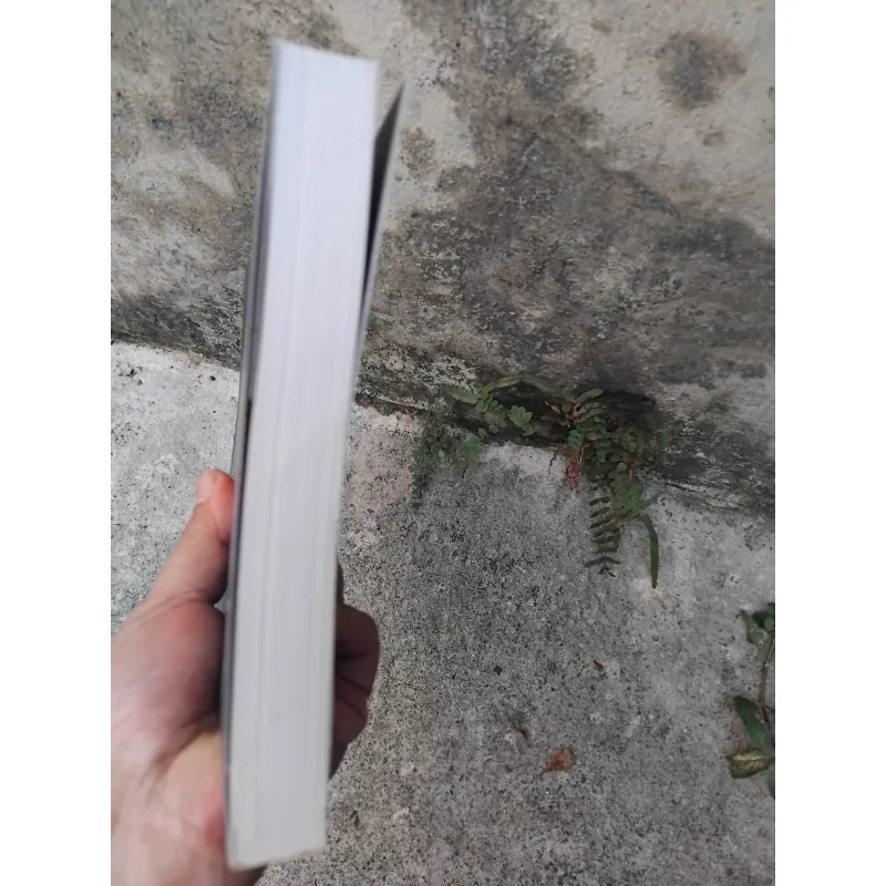 Văn hóa nghệ thuật thời Lý  1037883