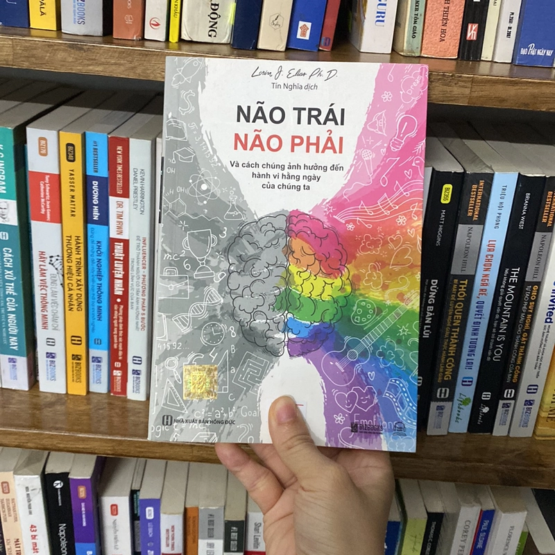 Não trái não phải và cách chúng ảnh hưởng đến hành vi hằng ngày của chúng ta 519347