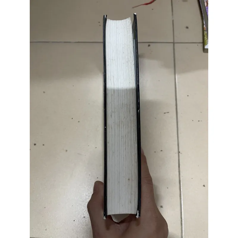 Mật Mã Maya - Brian D'Amato  746442