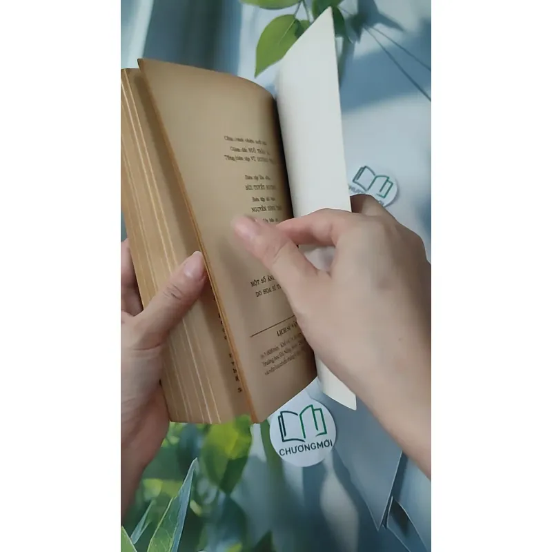 Lịch Sử Văn Minh Thế Giới - Vũ Dương Ninh 970245