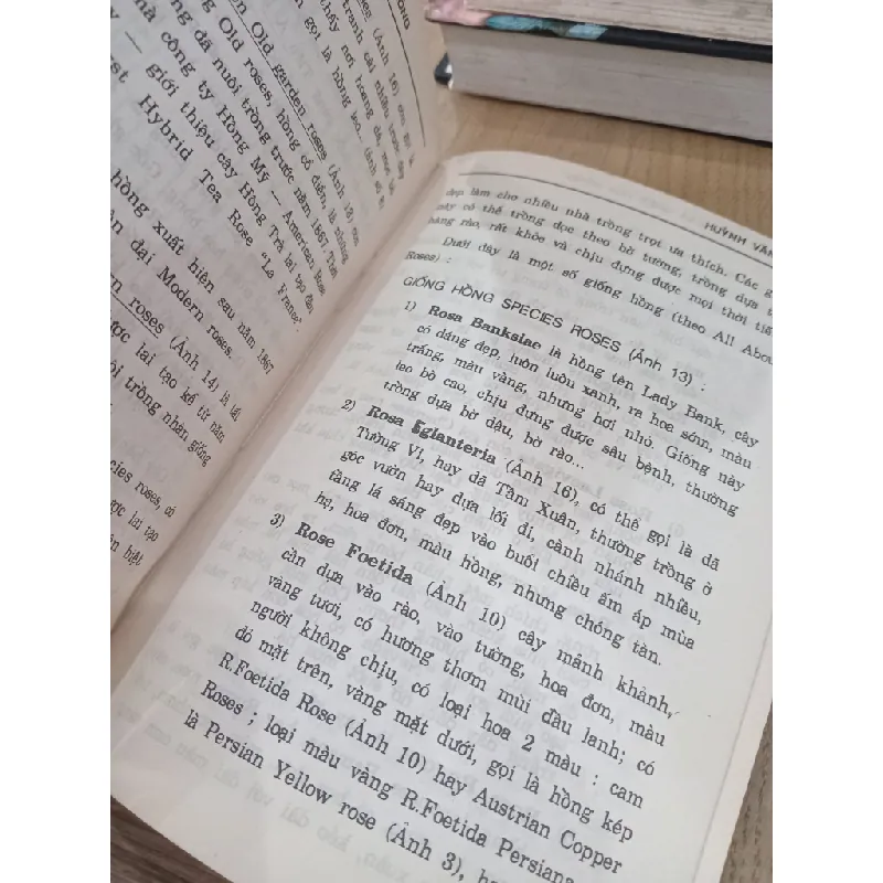 Kỹ thuật trồng và ghép hoa hồng - Huỳnh Văn Thới 605963