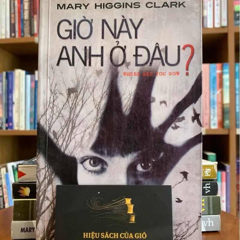 Giờ này anh ở đâu? - Mary Higgins Clark 589070