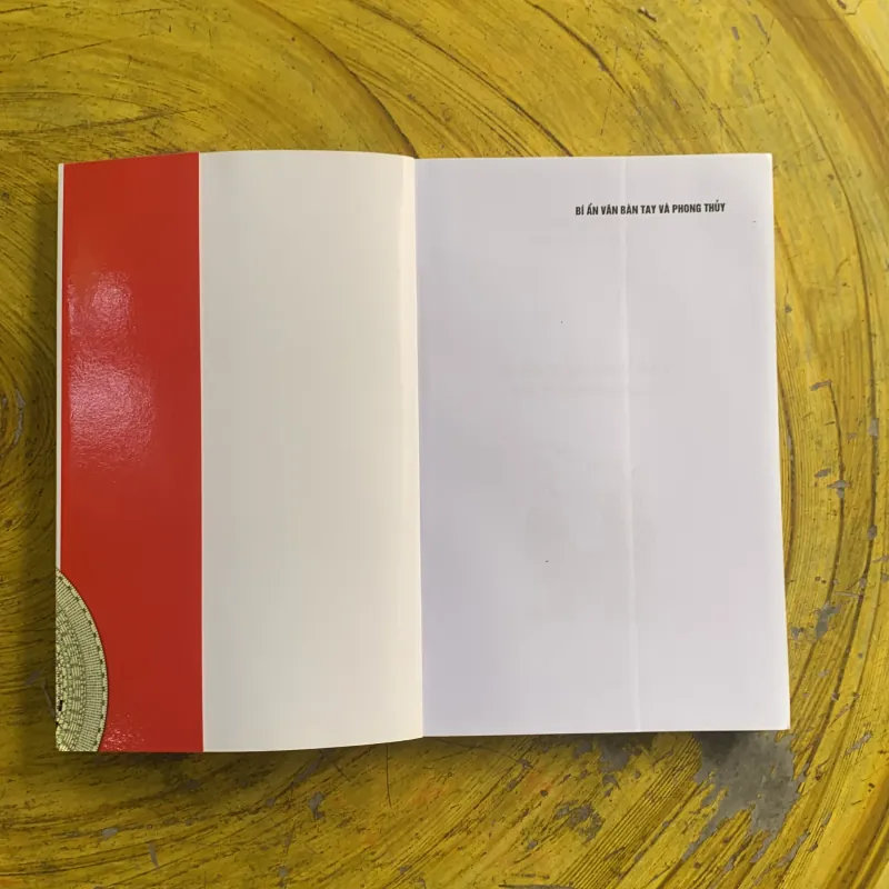 BÍ ẨN VÂN BÀN TAY VÀ PHONG THUỶ - vương đại hữu  1029983