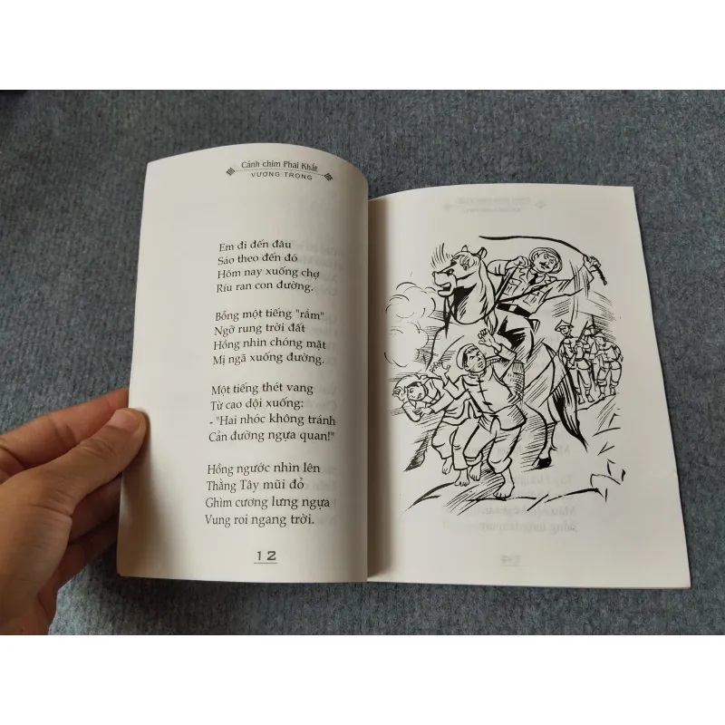 CÁNH CHIM PHAI KHẮT 720689