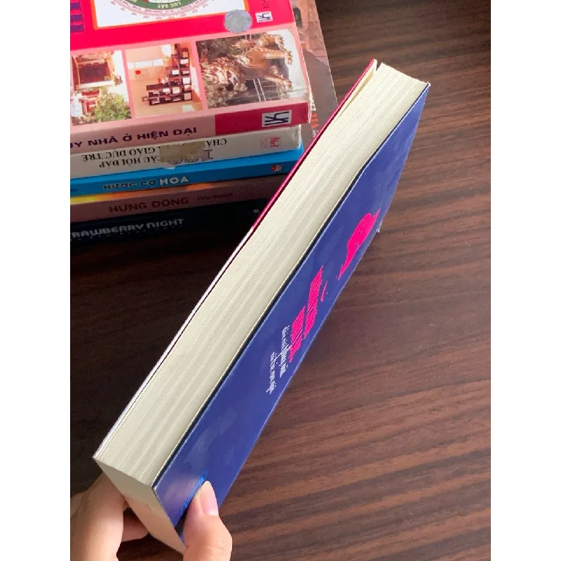 Ngăn chặn bạo lực đối với phụ nữ và trẻ em gái – Lê Thị Hoàng Yến (chủ biên) 560530