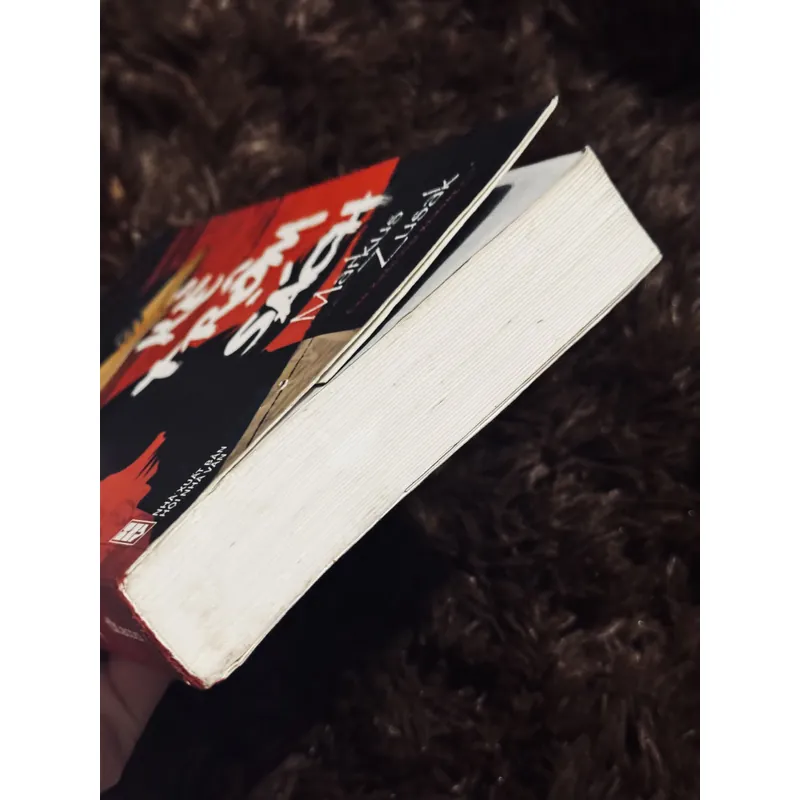 Kẻ trộm sách 726627