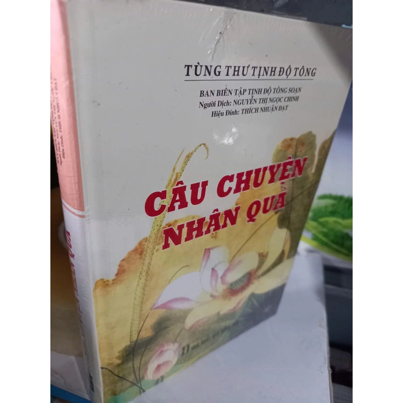 câu chuyện nhân quả 518928