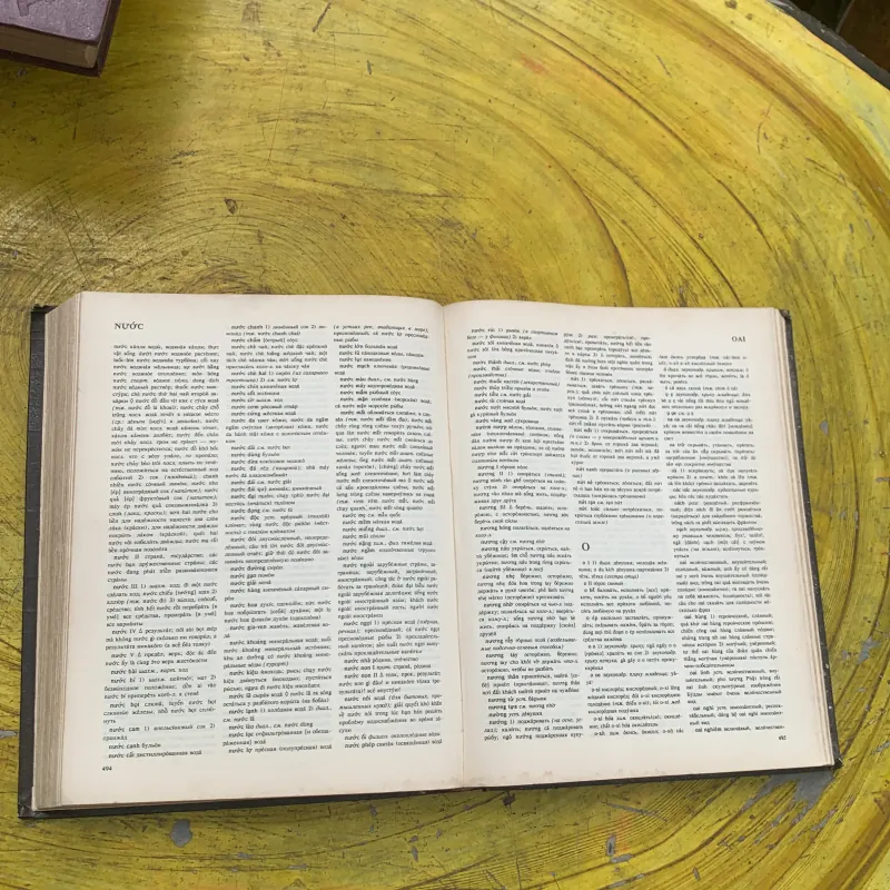 TỪ ĐIỂN VIỆT - NGA - I.I. GƠ-LÊ-BÔ-VA & A.A. XÔ-CÔ-LÔP 756631