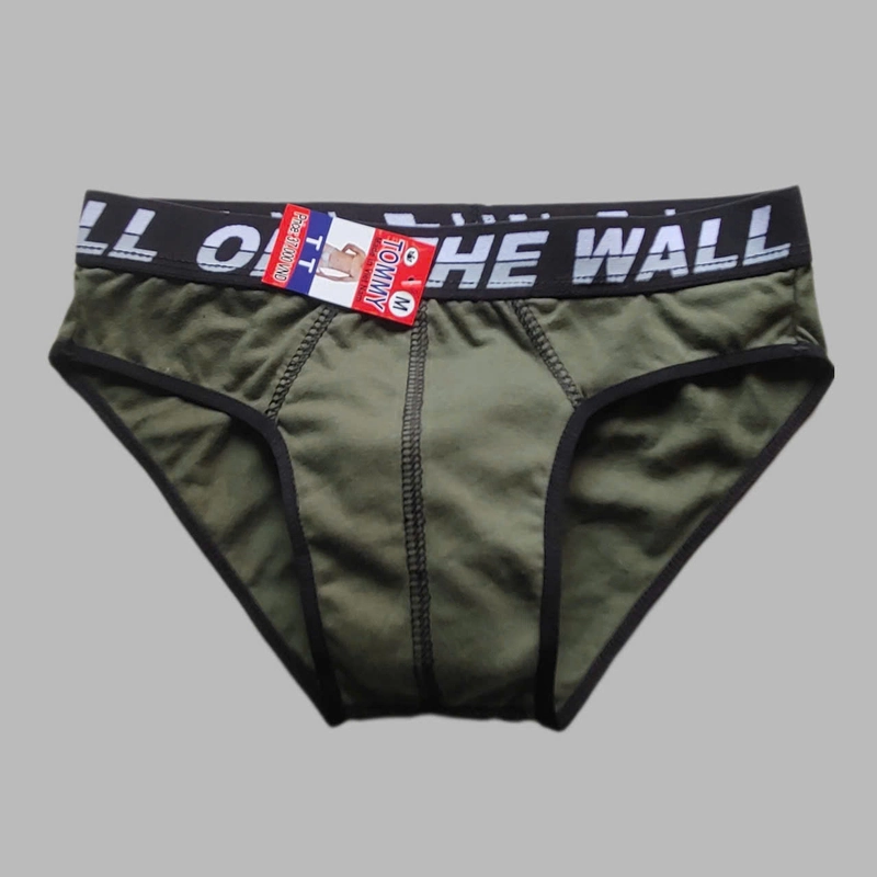 Combo 5 Quần sịp tam giác nam vải cotton bản lưng 3cm co dãn thấm hút tốt 447315