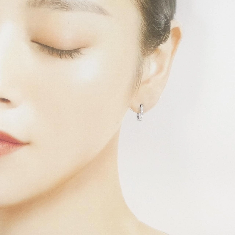 Bông tai kim cương PT900 - 0.20CT - Hàng hiệu Chính hãng 869648