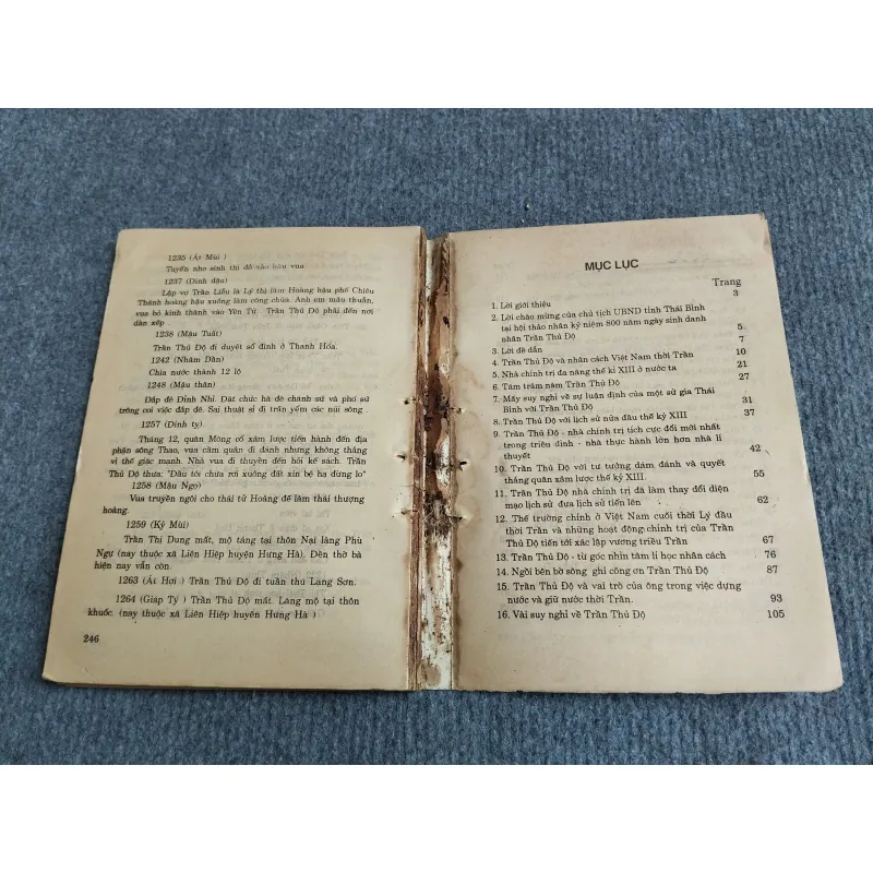 TRẦN THỦ ĐỘ CON NGƯỜI VÀ SỰ NGHIỆP 701911