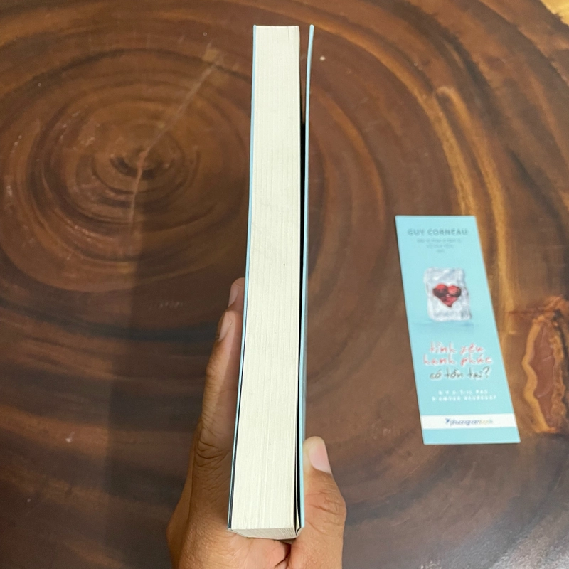 II Tựa sách: Tình Yêu, Hạnh Phúc Có Tồn Tại - GUY CORNEAU - 2019 463039