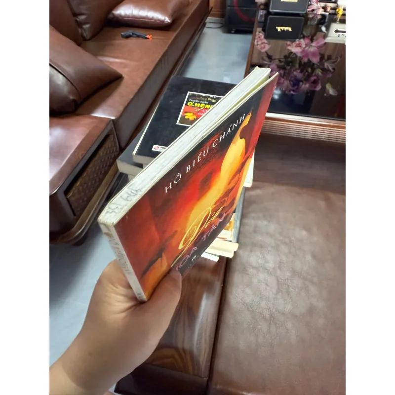 Đóa Hoa Tàn | Hồ Biểu Chánh 975450