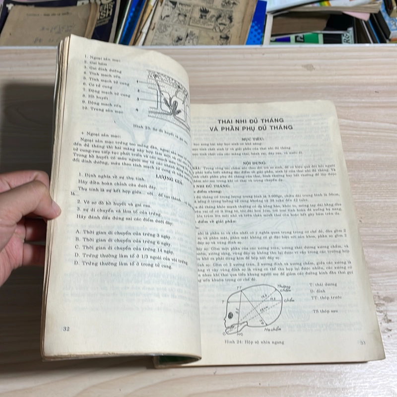 II Sách Y Học: Bệnh Học Và Chăm Sóc Phụ Sản Nhi Khoa (Sách Khổ Lớn) - 1995 548677