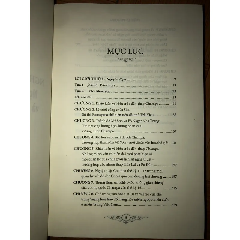 Nghệ thuật Chăm Pa - Nghiên cứu kiến trúc và điêu khắc đền-tháp 642594