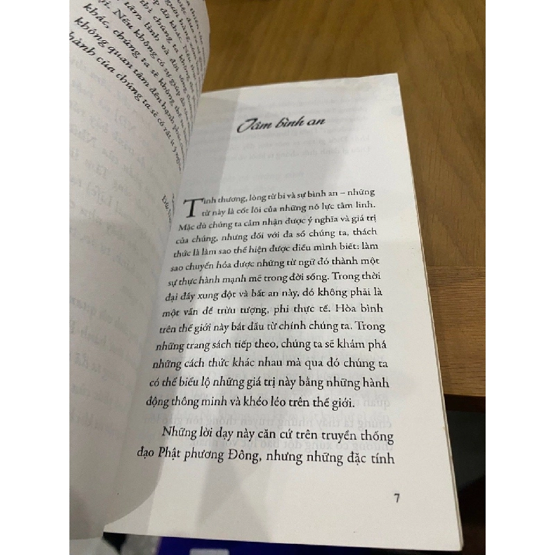 Tâm bình an - Joseph Goldstein 531602