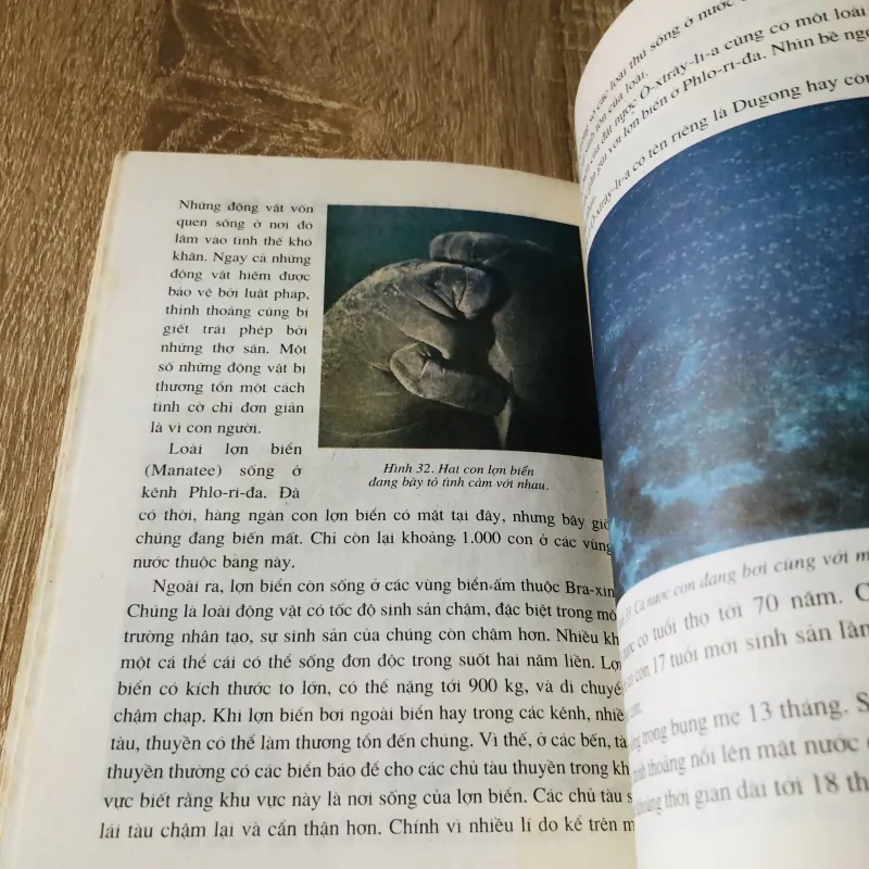 ĐỘNG VẬT HOANG DÃ KÊU CỨU 1027822