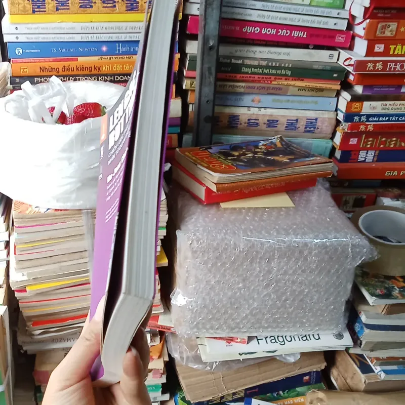 Lên Gác Rút Tháng - Hà Joon Chang 792141