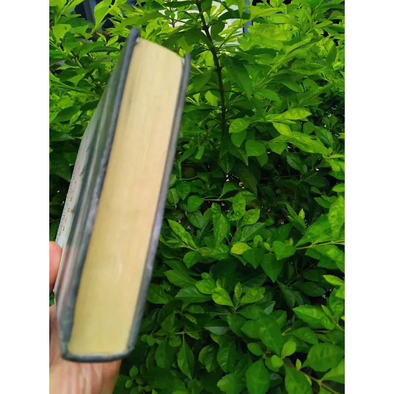 Truyện biển của Konstantin Staniukovich 1002569