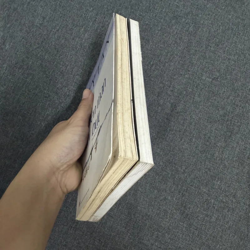 Tiểu thuyết đàn bà, Miên man tùy bút - Lý Lan 754577