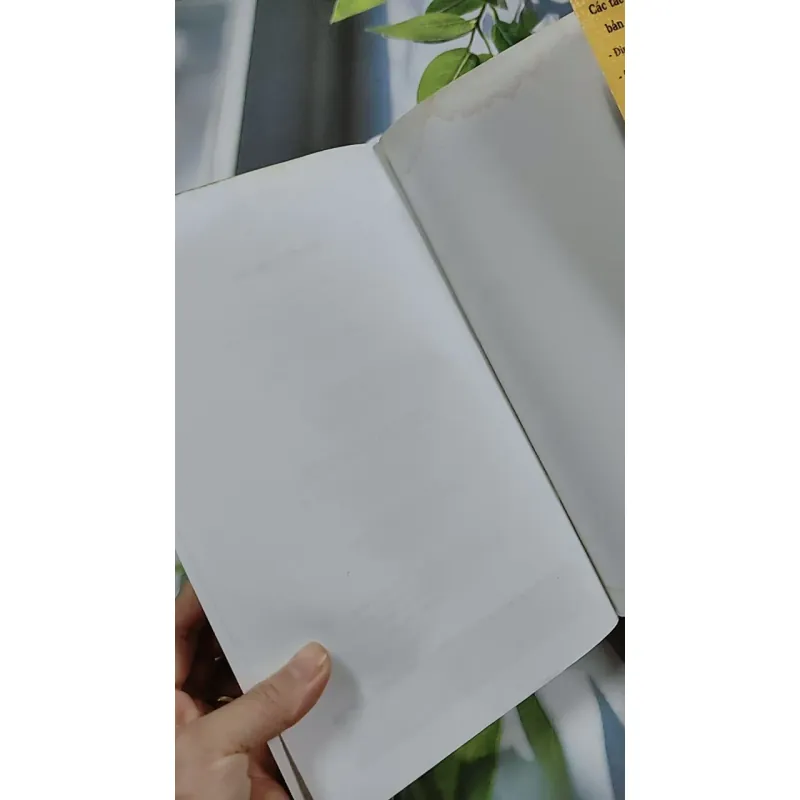 Bảo Vật Giang Hồ - Tô Tố 744769