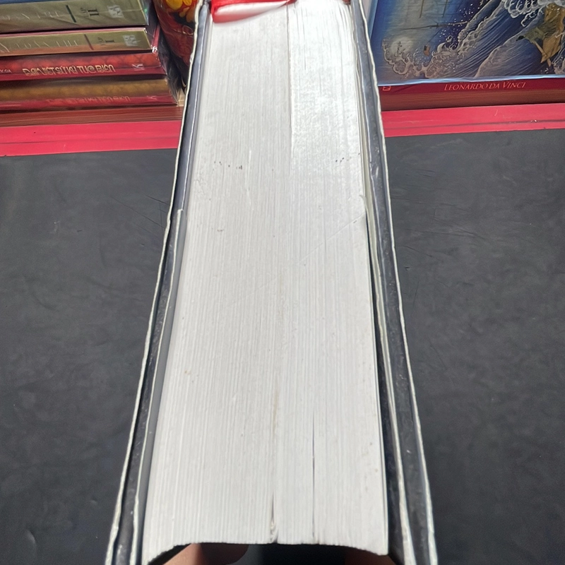 Con sẻ vàng Donna Tartt 356034