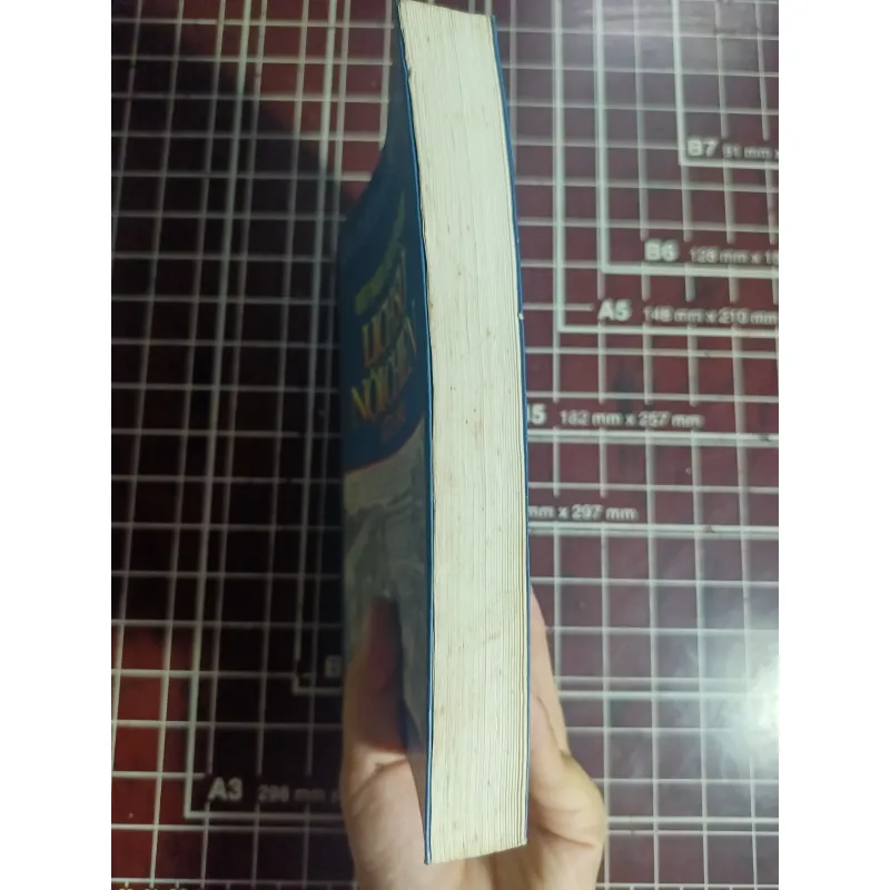 Việt Nam thời Tây Sơn lịch sử nội chiến 1771 - 1802 - Tạ Chí Đại Trường 754706