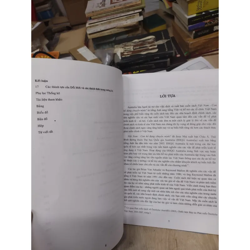 Sách: Việt Nam - con hổ đang chuyển mình - TG: Brian Van Arkadie & Raymond Mallon 795786