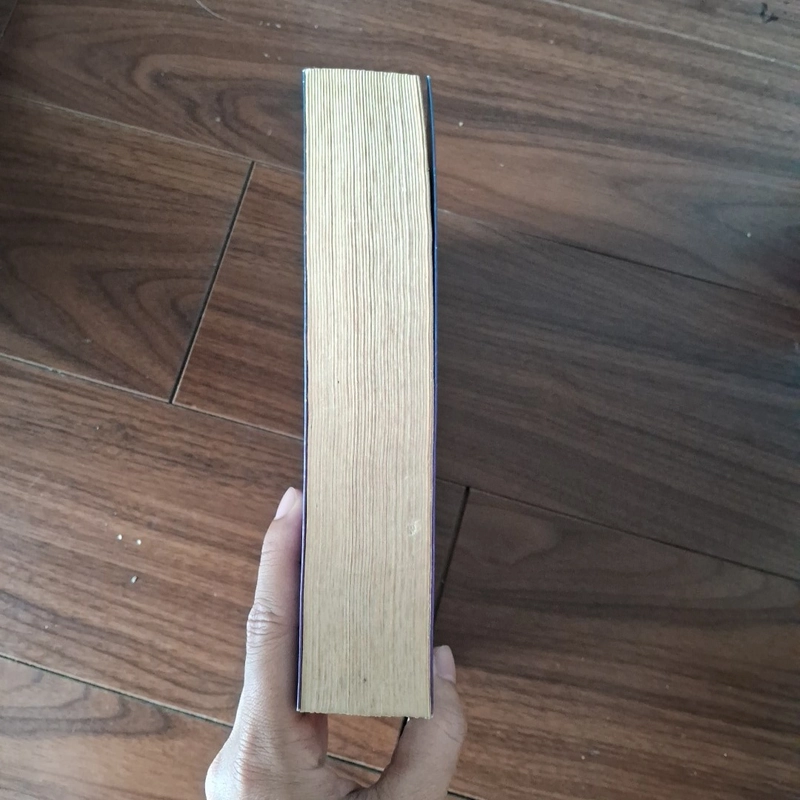 Mối tình đầu của nàng bọ cạp 509936