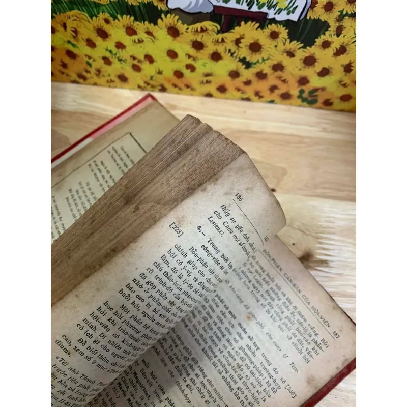 Legio Mariae 1965 928012