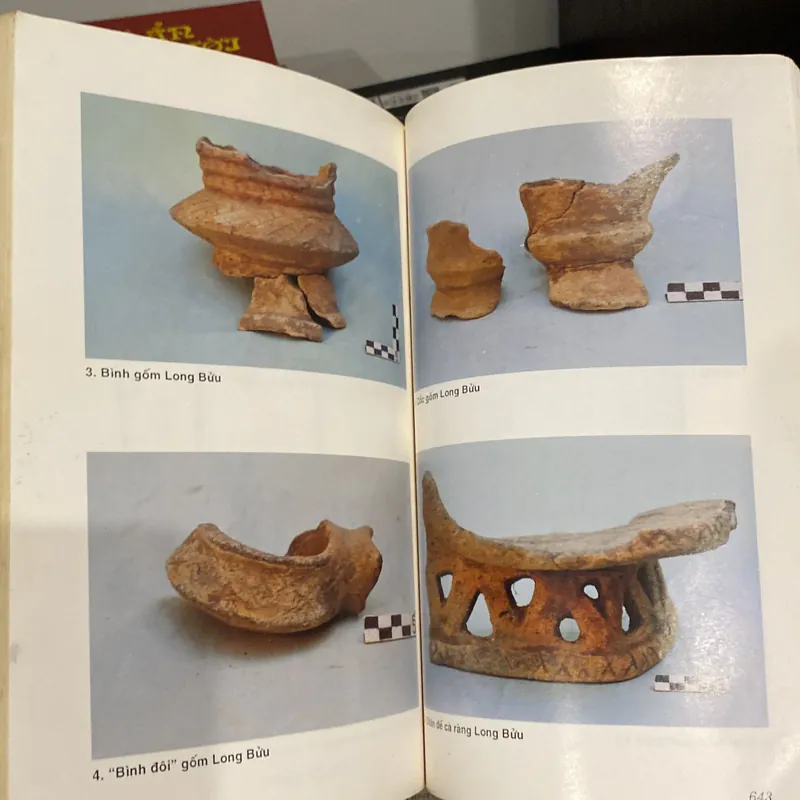 KHẢO CỔ HỌC TIỀN SỬ & SƠ SỬ THÀNH PHỐ HỒ CHÍ MINH (XB 1998) 568882