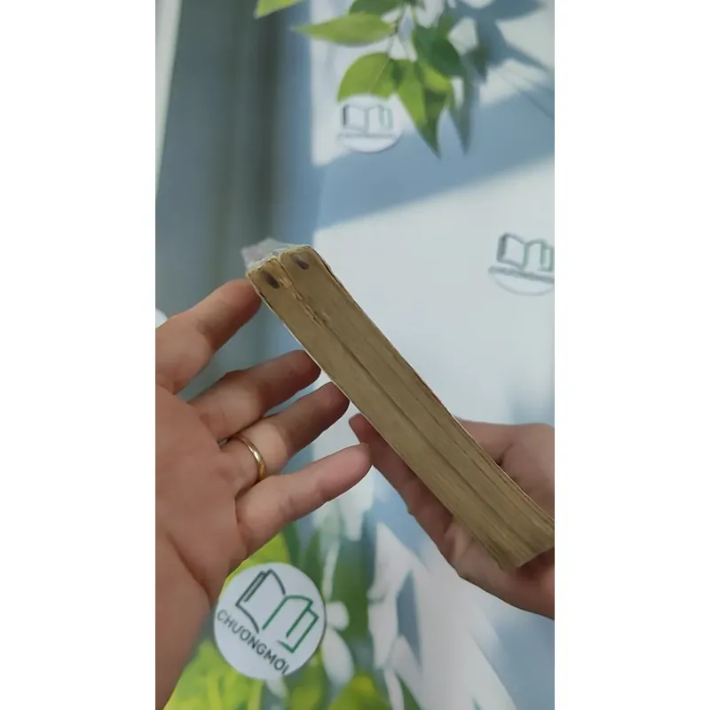 Bộ Khoảng Trời Đã Qua 1,2 - Nhật Hạnh 776029