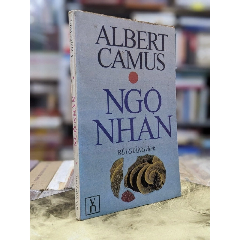 Ngộ nhận - Albert Camus 124176