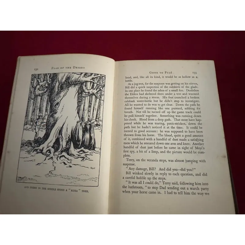 Sách ngoại văn tiếng Anh - Flag of the desert 713370